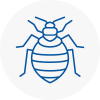 Bed Bug Extermination In Kirkby Stephen